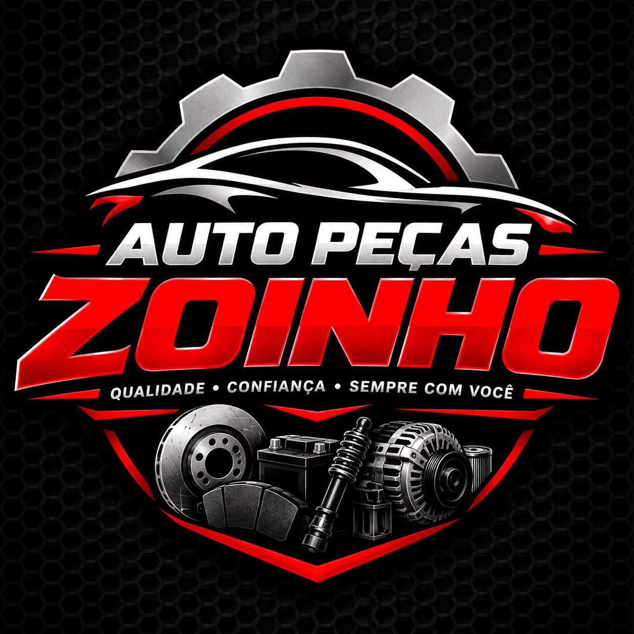 Zoinho Auto Peças